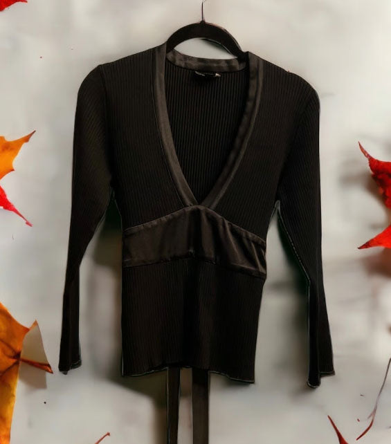 BEBE Deep V Neckline Blouse (Size L)